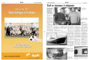 Síða 2