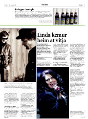 Síða 17