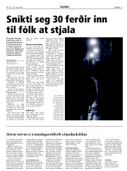 Síða 15