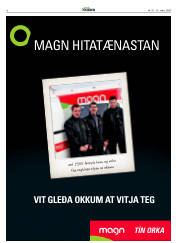 Síða 6