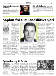 Síða 33