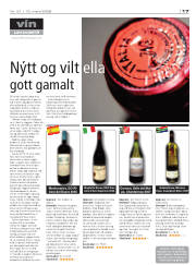 Síða 17