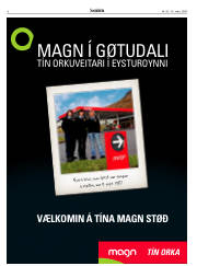 Síða 6