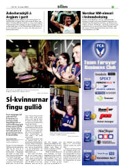 Síða 17