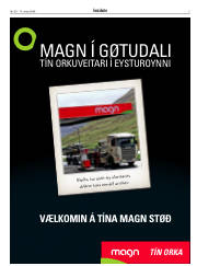 Síða 3