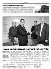 Síða 15