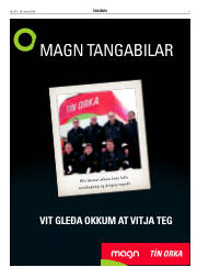 Síða 3
