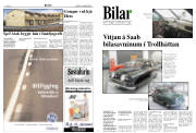 Síða 7