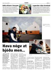 Síða 13