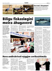 Síða 15
