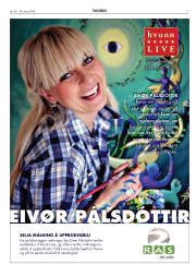 Síða 17