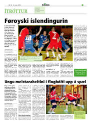Síða 21