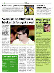 Síða 22