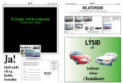 Síða 8
