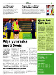 Síða 23