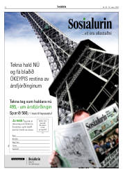 Síða 32