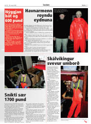 Síða 17
