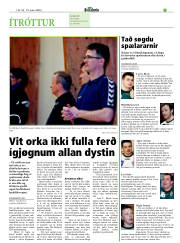 Síða 19