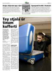 Síða 11
