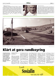 Síða 13