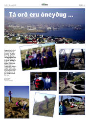 Síða 25