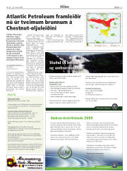Síða 29