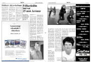 Síða 3