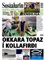Síða 1