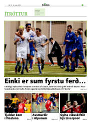 Síða 15