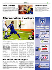 Síða 17