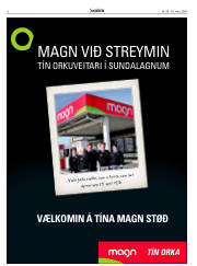 Síða 6