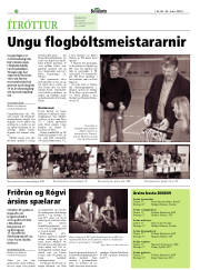 Síða 28