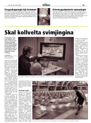 Síða 29