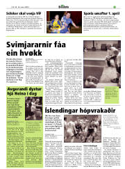 Síða 31