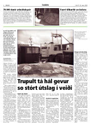 Síða 8