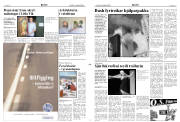 Síða 3