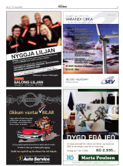Síða 21