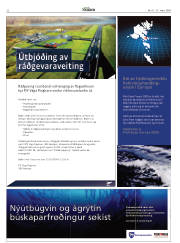 Síða 22
