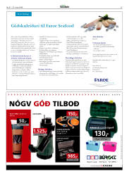 Síða 25