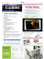 Síða 27