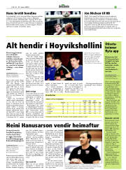 Síða 33