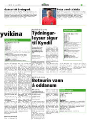 Síða 17