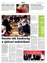Síða 20
