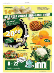 Síða 3