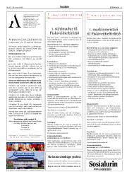 Síða 31