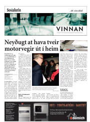 Síða 17
