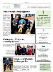 Síða 17
