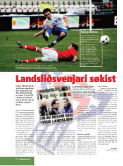 Síða 8