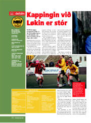 Síða 20
