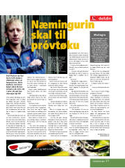 Síða 21